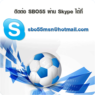 Skype SBO55